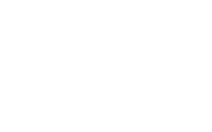 La Camionnette OnlyLyon Logo